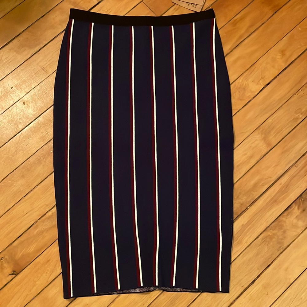 NWT Rachel Roy skirt